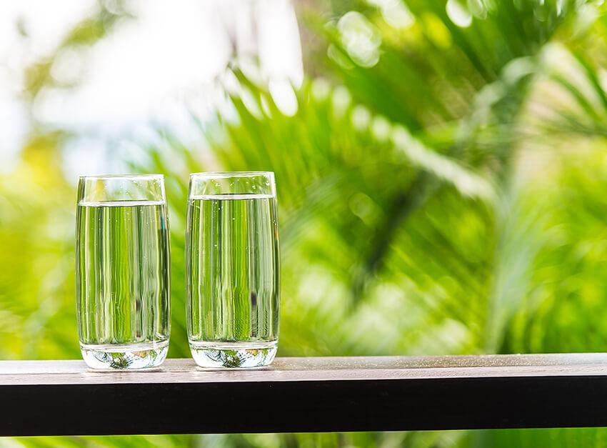 İthal Gıda ve Temizlik Ürünlerinde Güvenilir Kalite